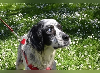 Toby - NOTFALL - Wenn die Welt plötzlich still und dunkel wird