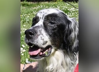 Toby - NOTFALL - Wenn die Welt plötzlich still und dunkel wird