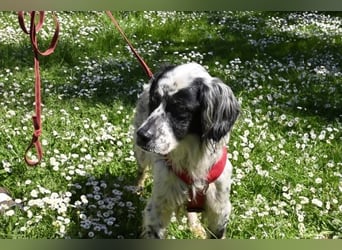 Toby - NOTFALL - Wenn die Welt plötzlich still und dunkel wird