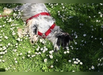 Toby - NOTFALL - Wenn die Welt plötzlich still und dunkel wird