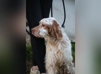 Beto - Mehr Braucht man nicht