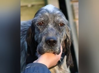 Linda - Und plötzlich kann alles gut werden