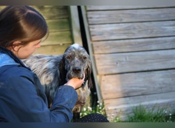 Linda - Und plötzlich kann alles gut werden
