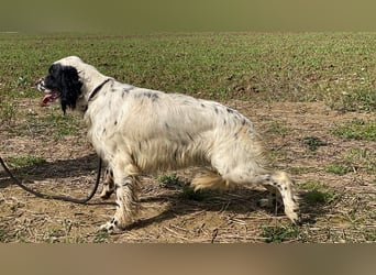 Fola - bereit, die Welt gemeinsam zu entdecken