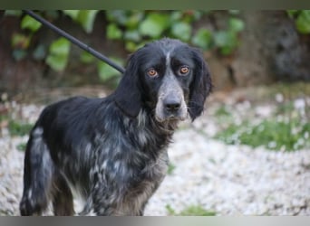 Coca - Zwischen gestern und morgen