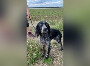 Coca - Zwischen gestern und morgen