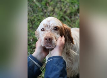 Beto - Mehr Braucht man nicht