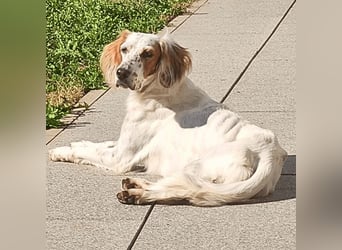 Annette - ein sanftes Huhu!