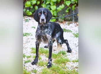 Coca - Zwischen gestern und morgen