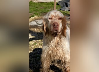 Beto - Mehr Braucht man nicht