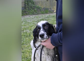 Fola - bereit, die Welt gemeinsam zu entdecken