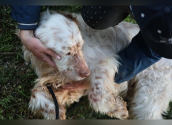 Beto - Mehr Braucht man nicht