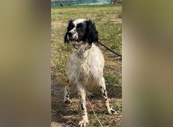 Fola - bereit, die Welt gemeinsam zu entdecken