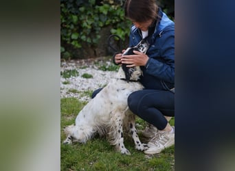 Fola - bereit, die Welt gemeinsam zu entdecken