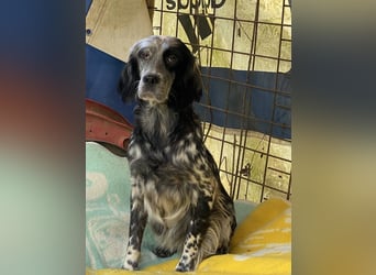 Helvetia - Angst beginnt im Kopf ? Mut auch!