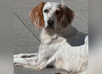 Annette - ein sanftes Huhu!