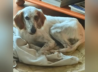 Annette - ein sanftes Huhu!