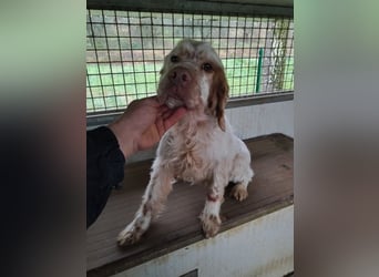 Beto - Eine alte Geschichte, ein neues Kapitel