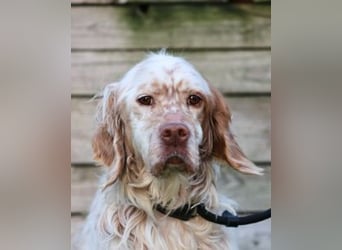 Beto - Mehr Braucht man nicht