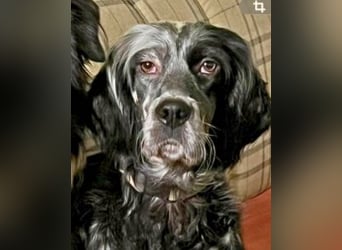 Helvetia - Angst beginnt im Kopf ? Mut auch!