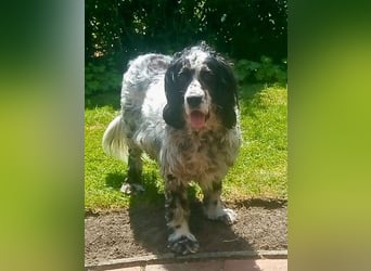 Fuorimano - Alles verloren, außer der Hoffnung auf einen Neuanfang