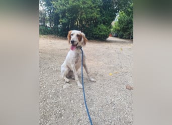 Annette - ein sanftes Huhu!