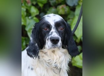 Fola - bereit, die Welt gemeinsam zu entdecken