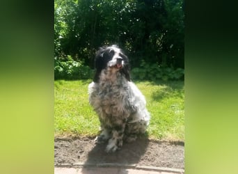 Fuorimano - Alles verloren, außer der Hoffnung auf einen Neuanfang