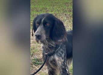 Coca - Zwischen gestern und morgen