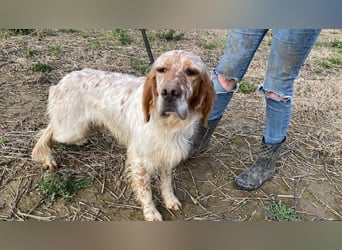 Zak - mitten ins Herz