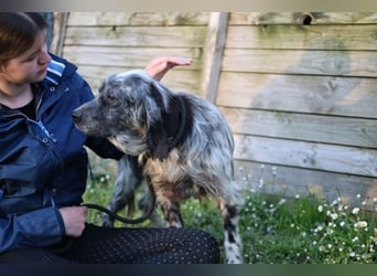 Linda - Und plötzlich kann alles gut werden