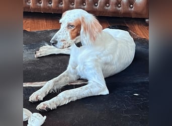 Annette - ein sanftes Huhu!