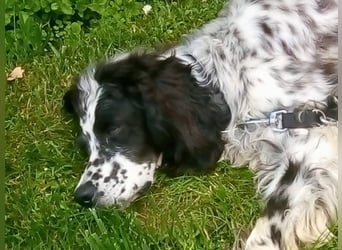 Fuorimano - Alles verloren, außer der Hoffnung auf einen Neuanfang