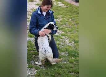 Fola - bereit, die Welt gemeinsam zu entdecken