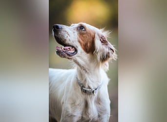 Annette - ein sanftes Huhu!