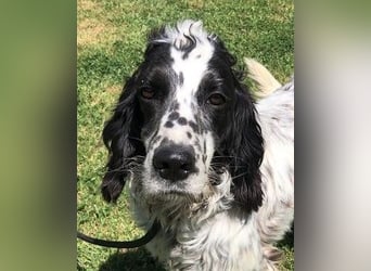 Fuorimano - Alles verloren, außer der Hoffnung auf einen Neuanfang