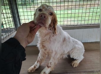 Beto - Eine alte Geschichte, ein neues Kapitel