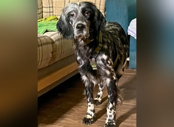 Helvetia - Angst beginnt im Kopf ? Mut auch!