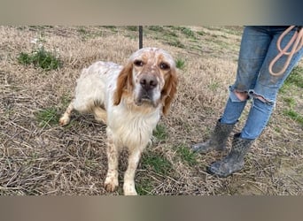 Zak - mitten ins Herz