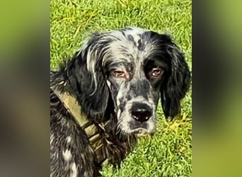 Helvetia - Angst beginnt im Kopf ? Mut auch!