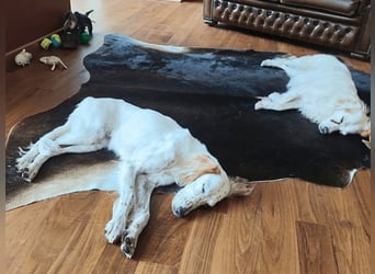 Annette - ein sanftes Huhu!