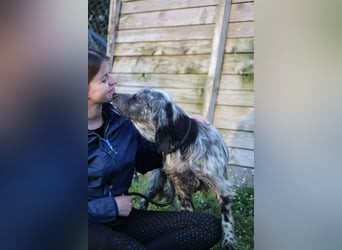 Linda - Und plötzlich kann alles gut werden