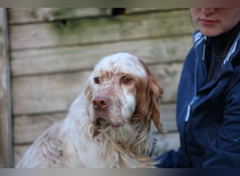 Beto - Mehr Braucht man nicht