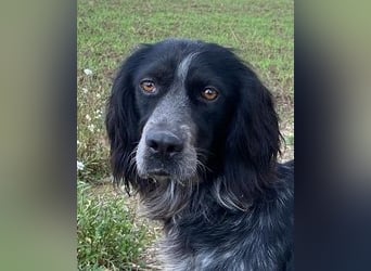 Coca - Zwischen gestern und morgen