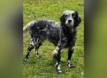 Helvetia - Angst beginnt im Kopf ? Mut auch!