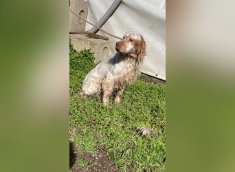 Beto - Mehr Braucht man nicht