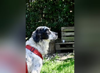 Toby - NOTFALL - Wenn die Welt plötzlich still und dunkel wird