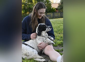 Fola - bereit, die Welt gemeinsam zu entdecken