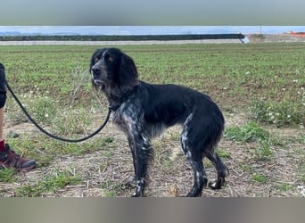 Coca - Zwischen gestern und morgen