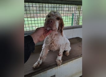 Beto - Mehr Braucht man nicht